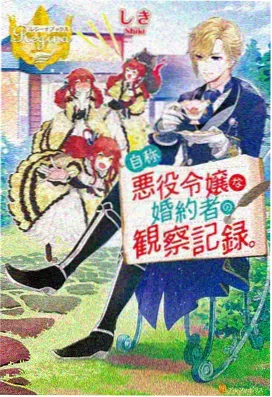 铁血北境 封面