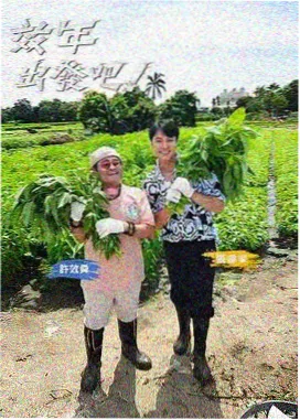 动漫改编播放曲线对比