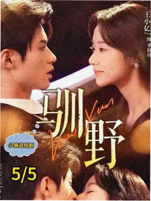 剑落长安 封面